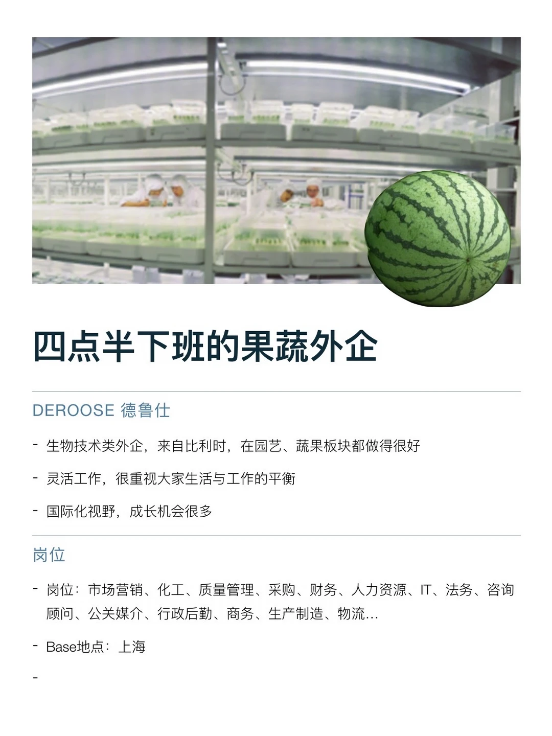 果蔬外企有想来的吗，空窗期友好、不在乎学历