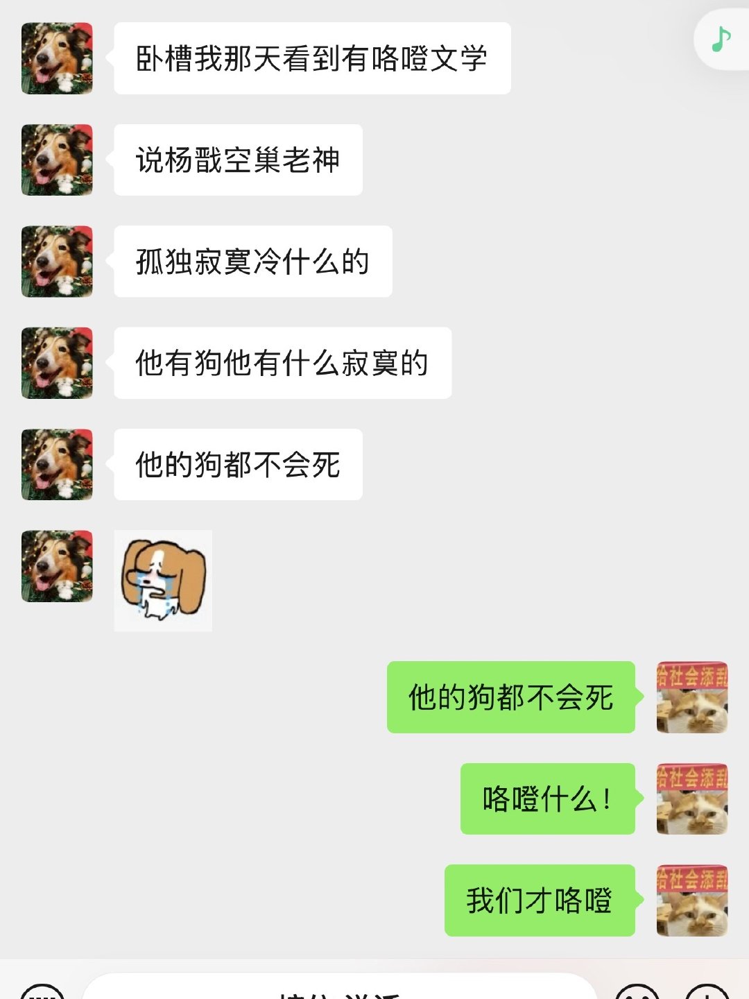 我们无孩爱狗人最嫉妒的人/神：杨戬 ​