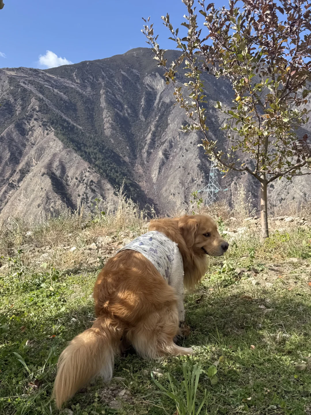 人，请守好我的屁股