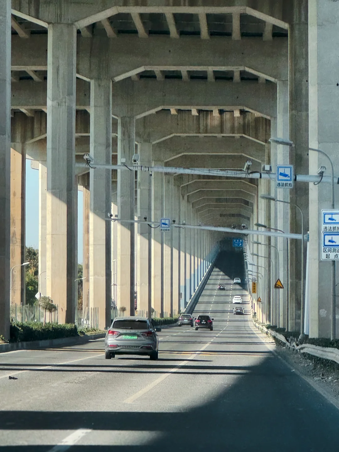 浦江镇有自己的时光之门