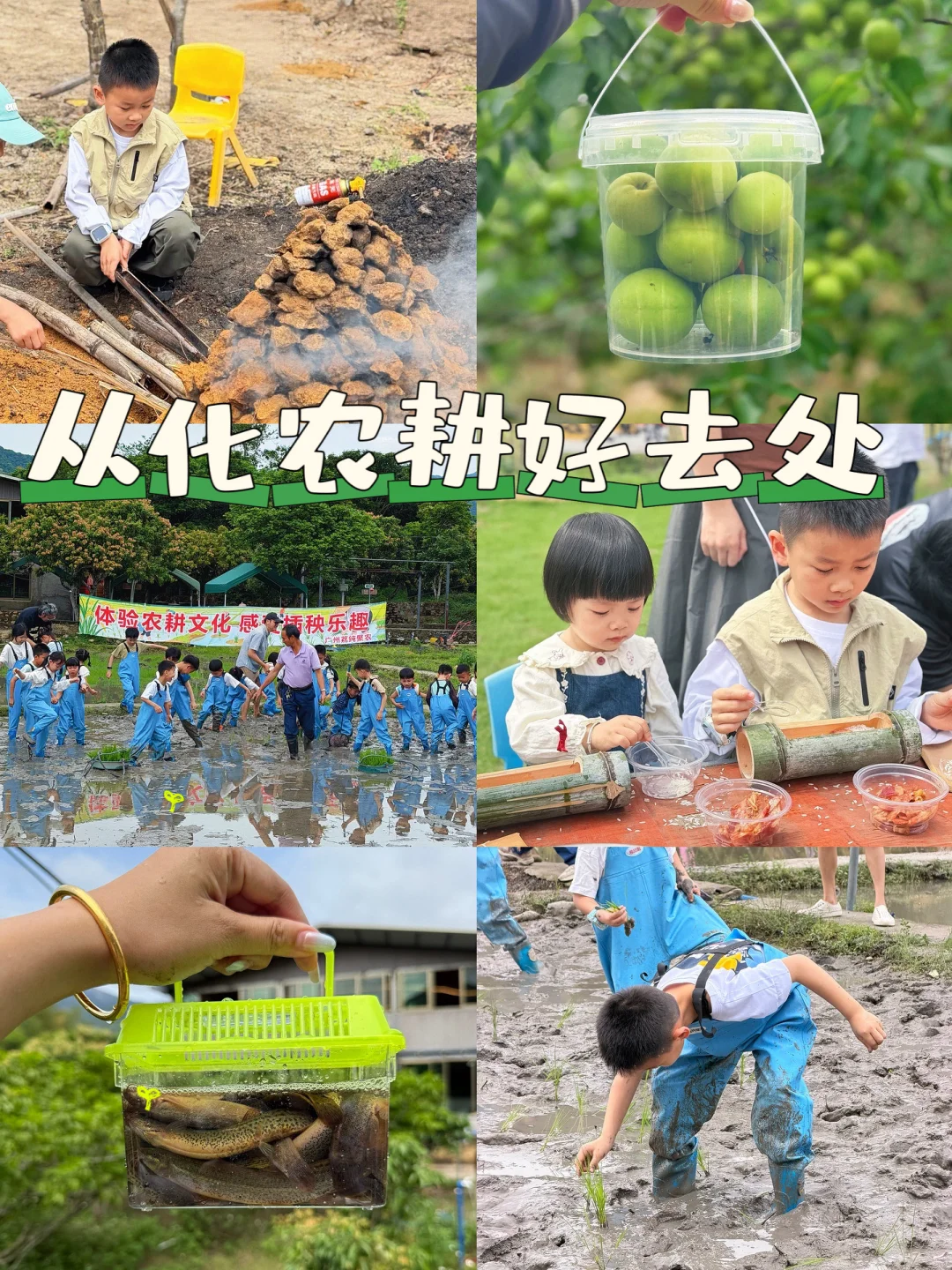 🥬从化带娃当一天小农夫，解锁田园技能