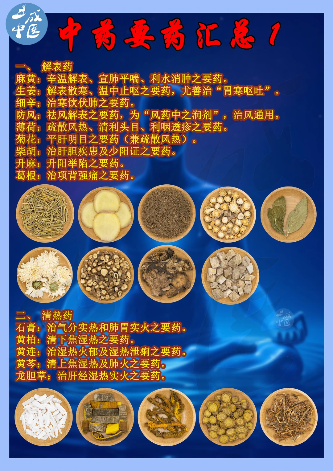 🌿中药“要药”汇总！