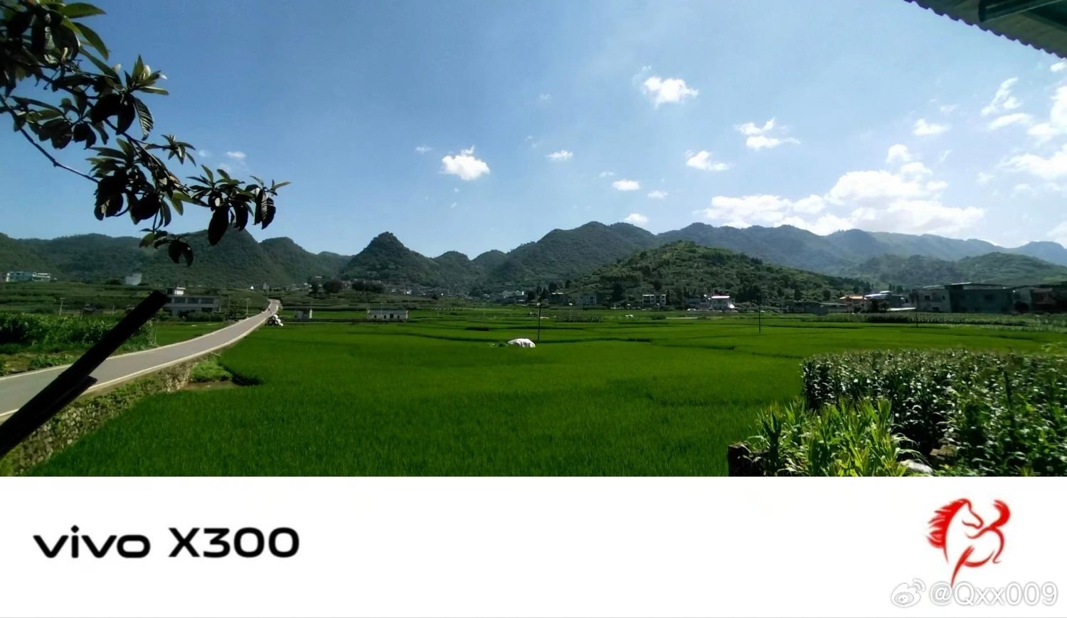 #vivo[超话]##vivo超话# 回到乡下才能见到这样舒服的景色，一望无际的稻田绿油油的，远山层层叠叠，吹过来的风都带着泥土独有的清新气息。 ​
