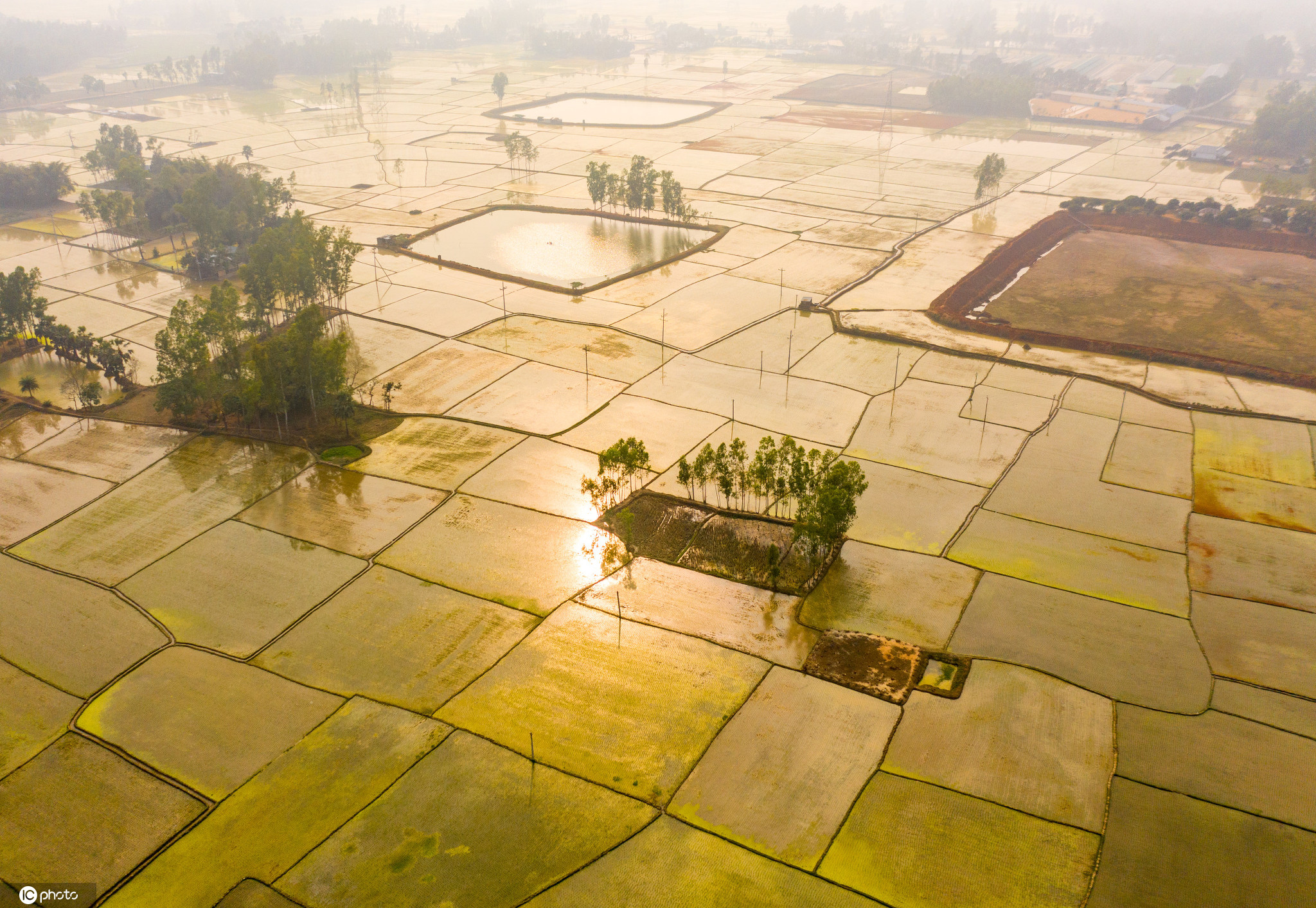 航拍孟加拉國稻田 色彩斑斕宛如調色盤-圖4