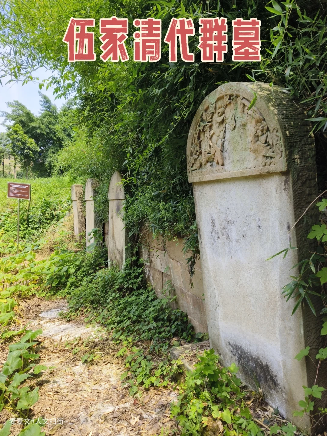 【大足】在杂草翠竹间邂逅伍家清代群墓