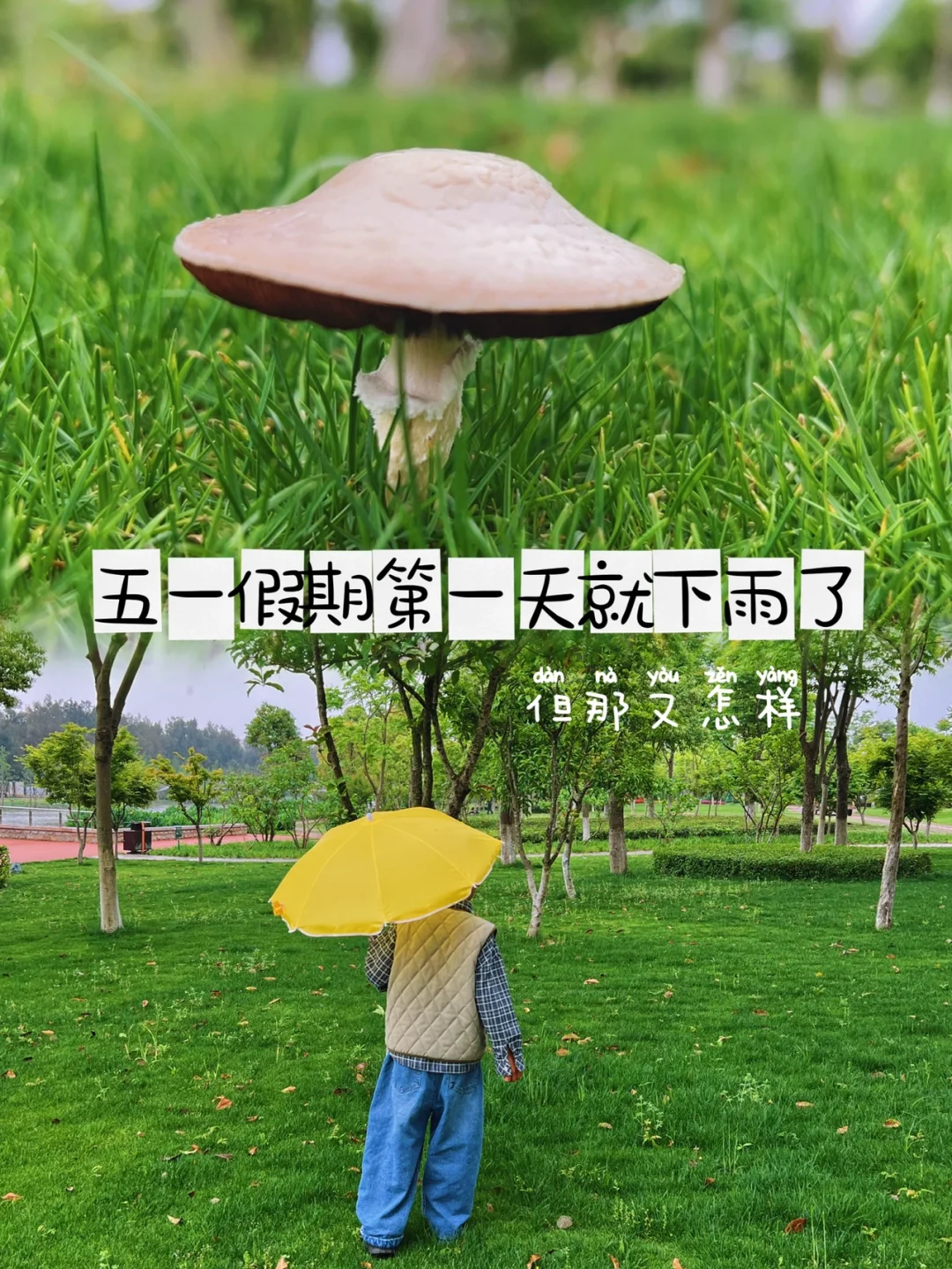 乐清｜五一假期哪里玩下雨天也可以出发野餐