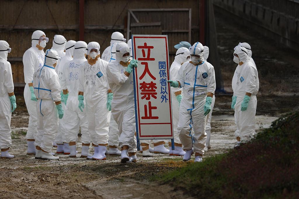 日本接連出現禽流感疫情-圖2