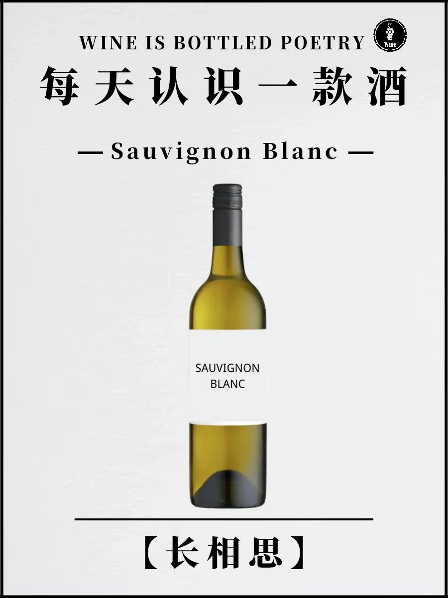 No.4 每天认识一款酒 | 【长相思】