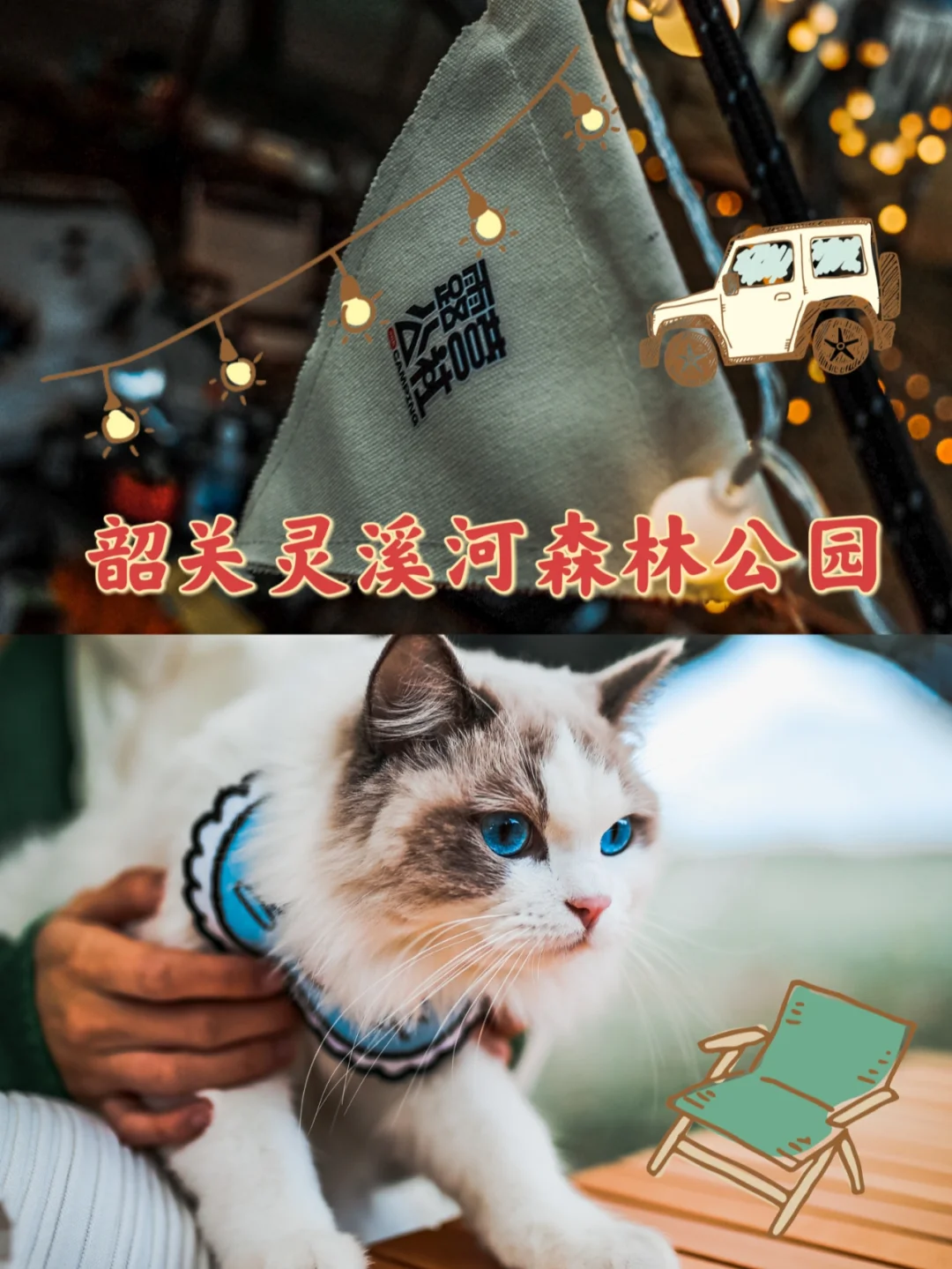 带着喵一起去森林公园里露营吧！