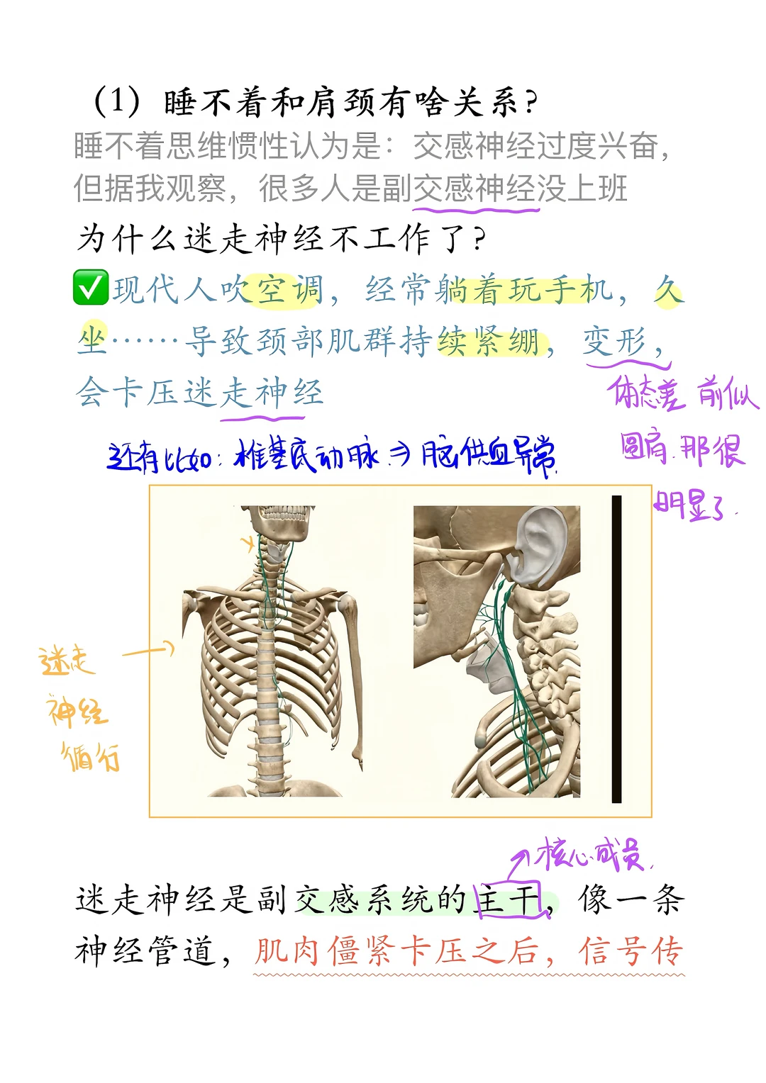 入睡很困难：脖子闹软，小腿闹热乎（有奇效🔥