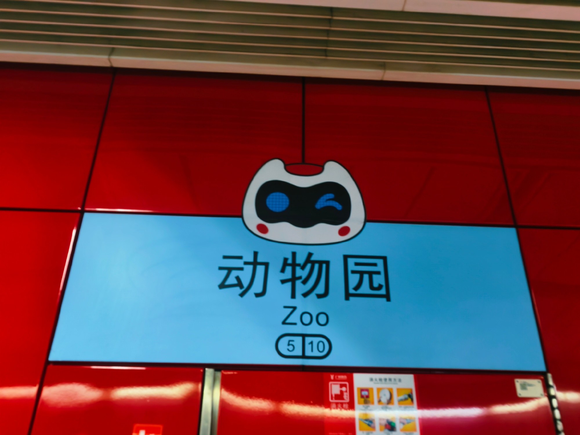 谁懂啊！广州动物园也太好逛了吧😭看了熊猫瘫成糯米团子，围观了猴子上蹿...