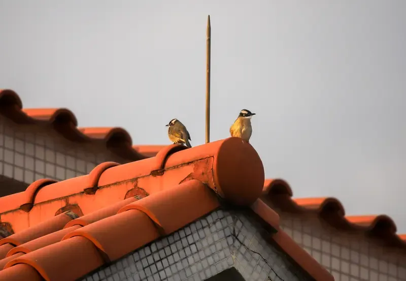 以下为你盘点不同场景下的搞笑名场面：  综艺搞笑名场面  ● 沈腾相关...