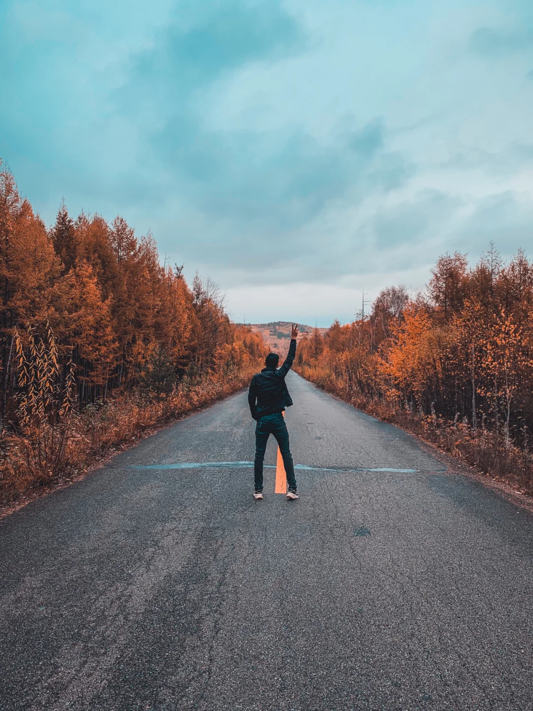 呼伦贝尔自驾游｜DAY2迷失在金灿灿的白桦林