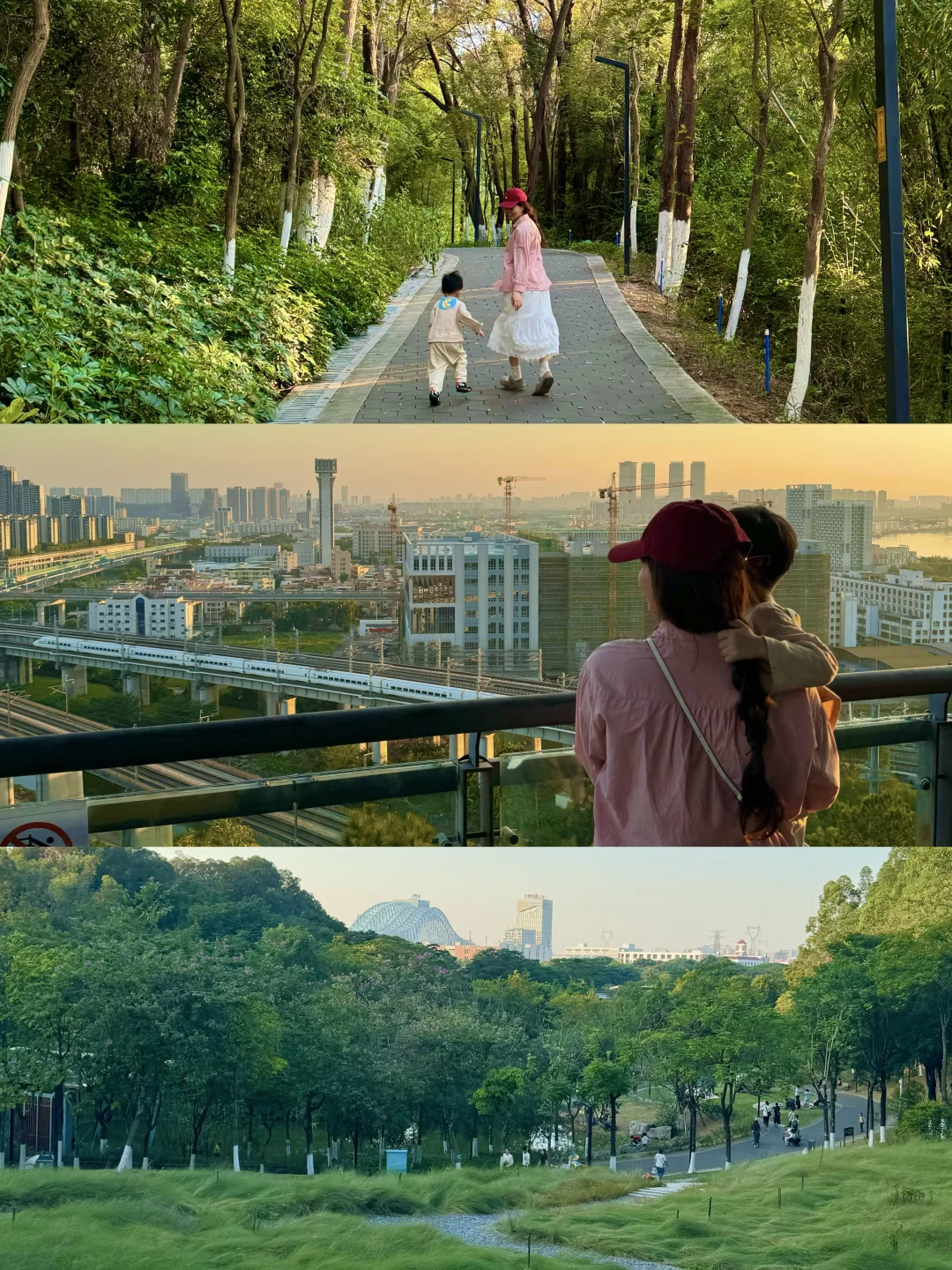 佛山亲子爬山❗❗免费徒步露营，轻松登顶❗️