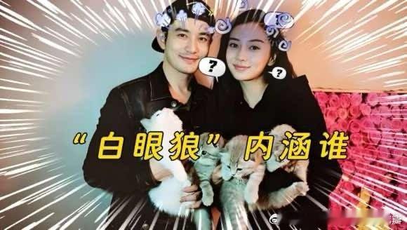 一句帮过太多白眼狼，前妻杨颖、李亚鹏被对号入座，黄晓明是真诚复盘还是暗中内涵|嗑瓜子前线 来自​