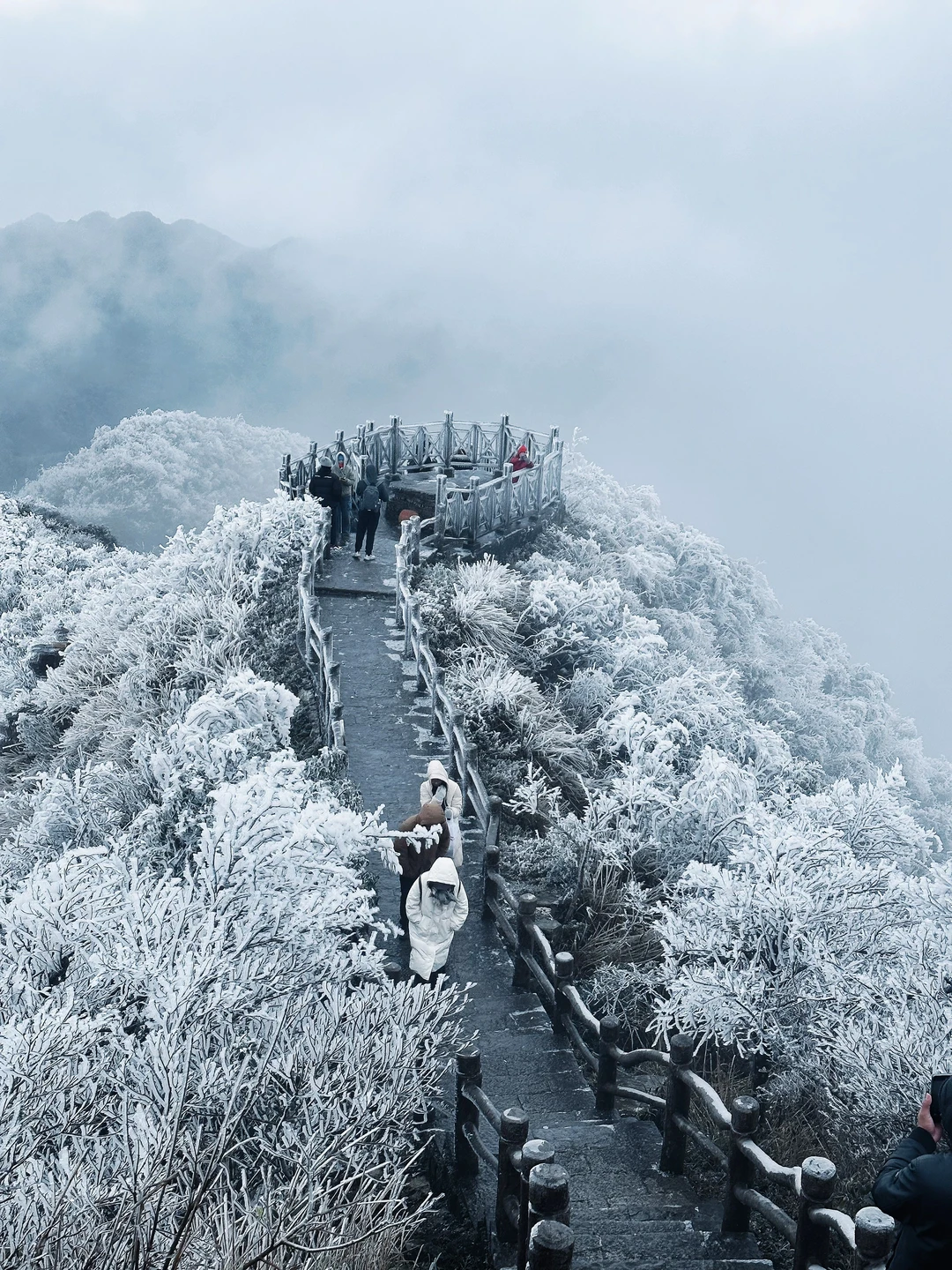 南宁人都收到通知了吗？大明山可以看雾凇了