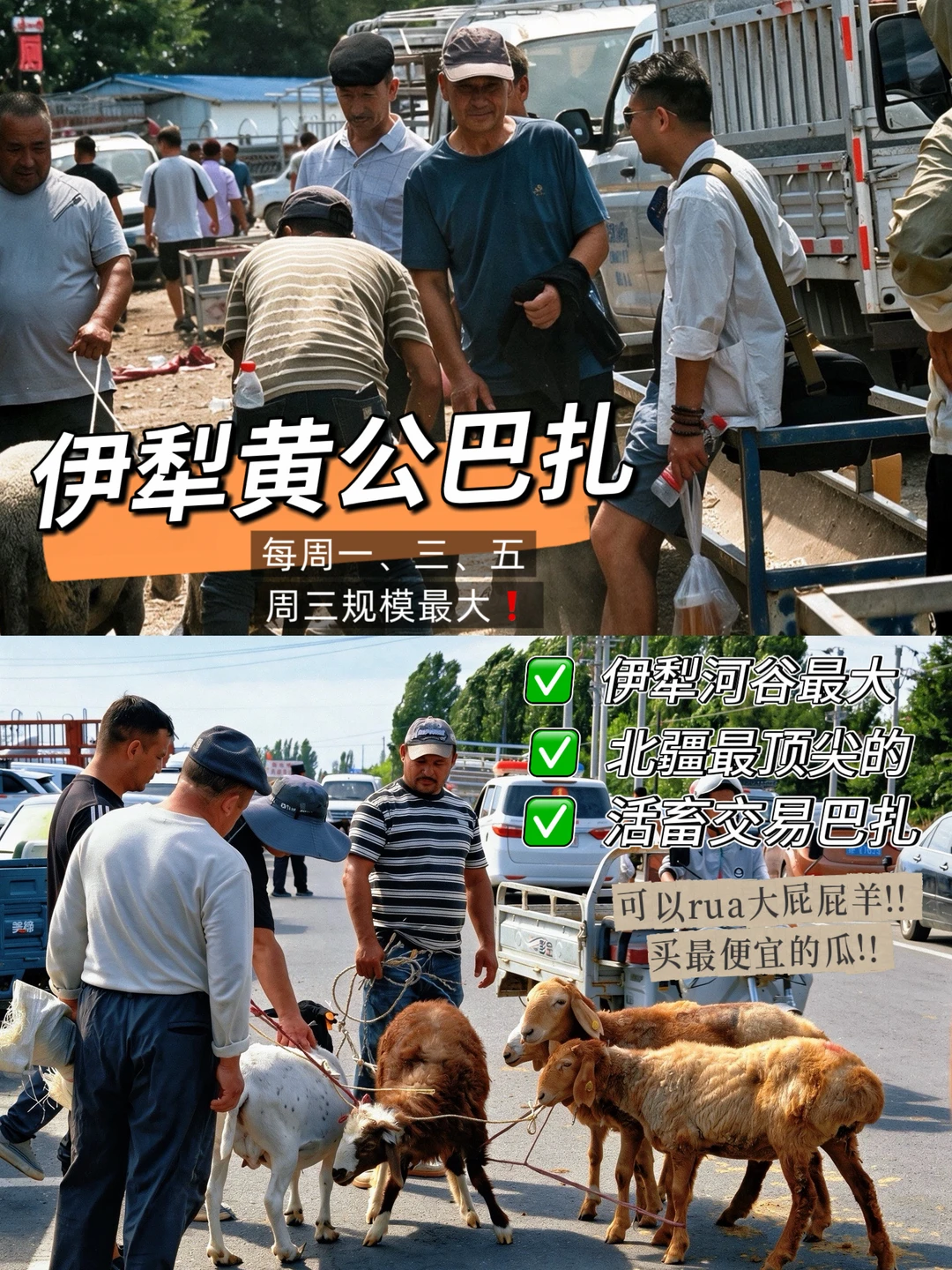 在新疆伊宁!! 快去黄公巴扎❗本地人最爱逛