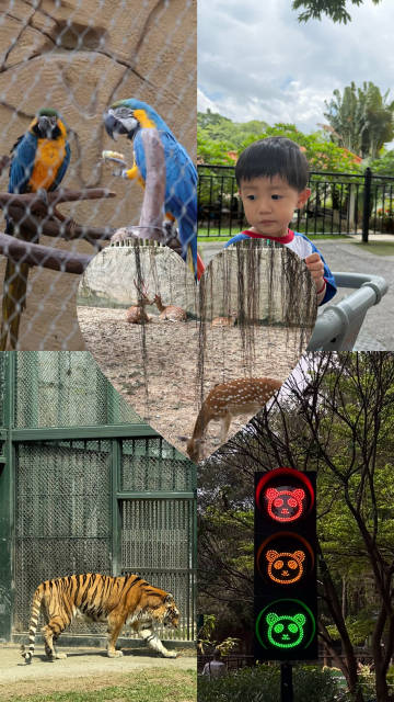 广州动物园逛园活动结束