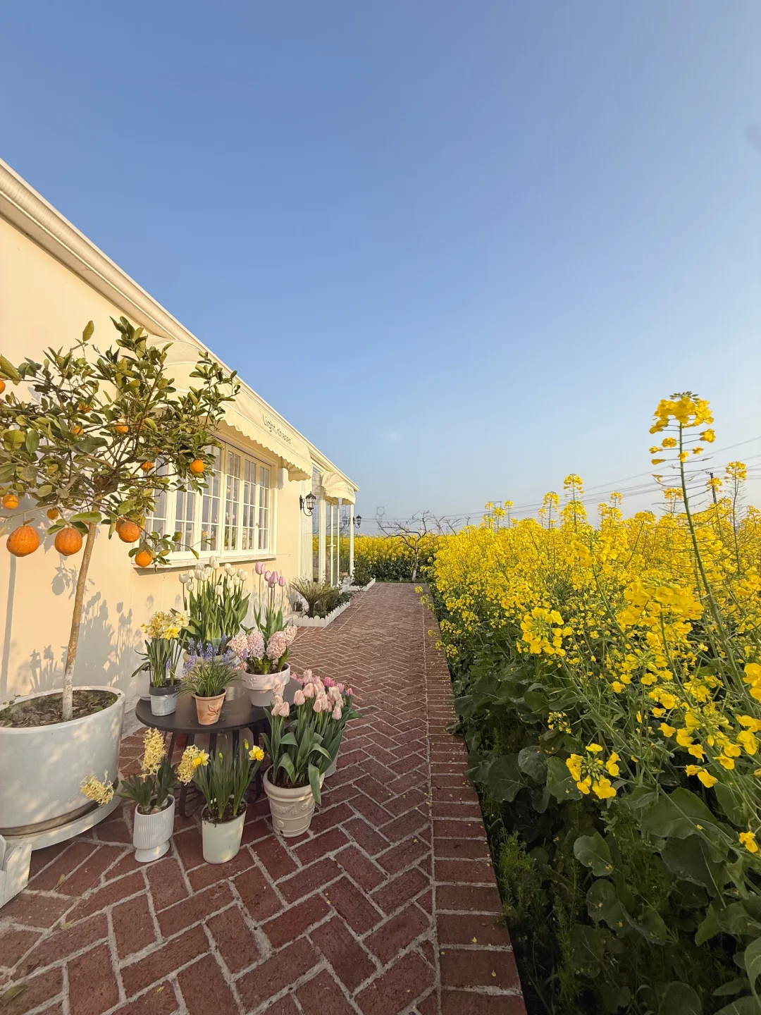 从前觉得住农村很丢脸，现在住起来却很香❗️