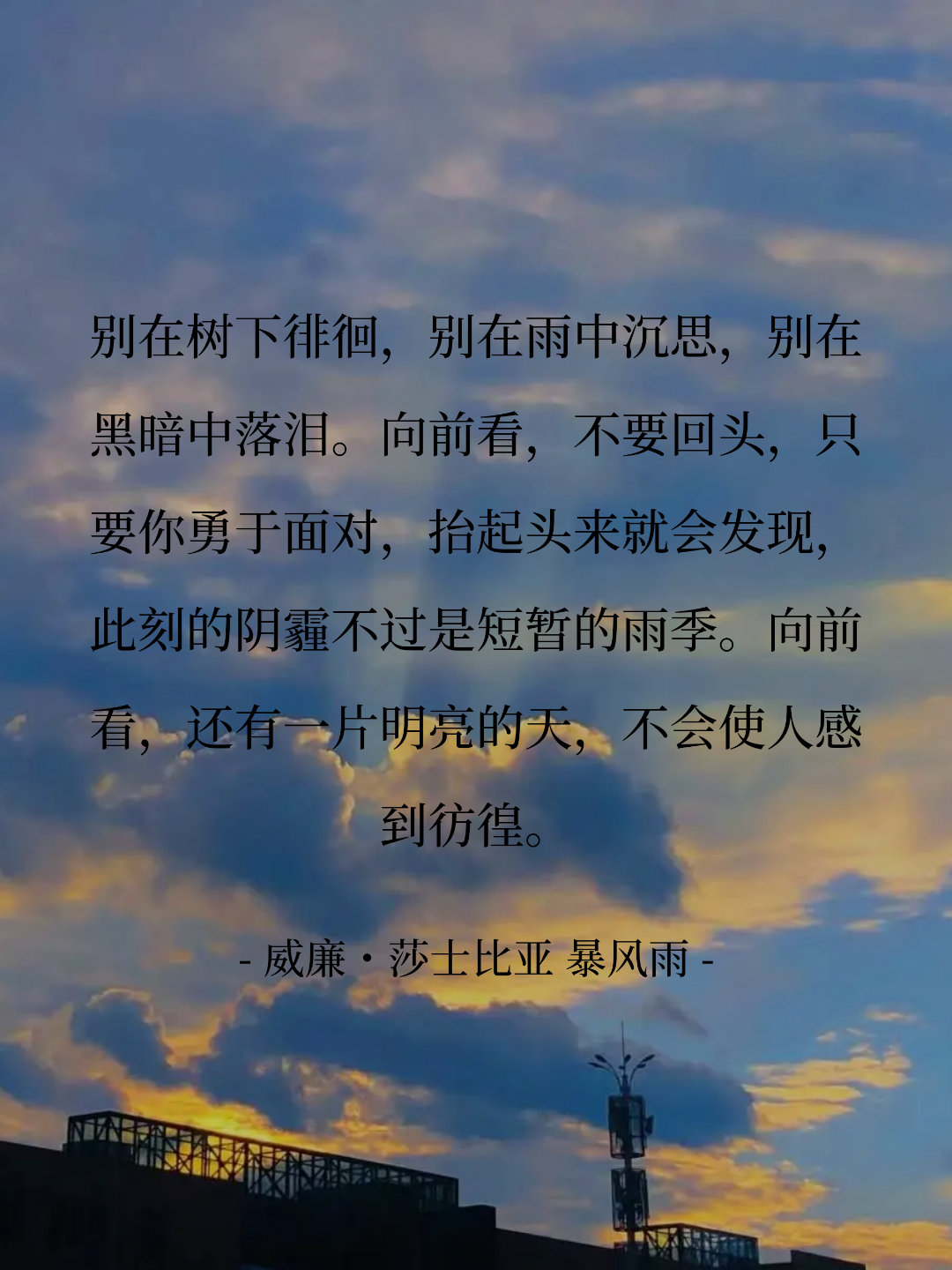 别在树下徘徊，别在雨中沉思，别在黑暗中落泪。向前看，不要回头，只要你勇...