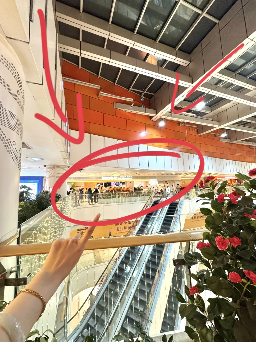 万博新开的！！啥店啊…这么多人…