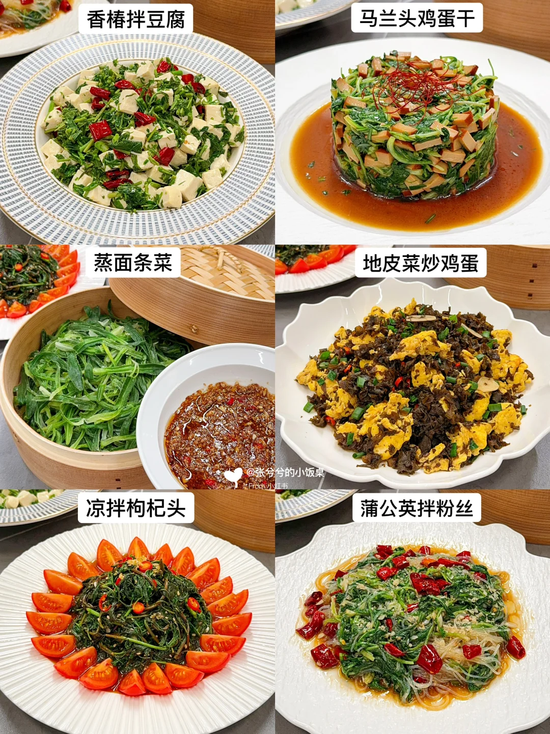 春菜合集🌿叮咚把整个春天都搬上了餐桌