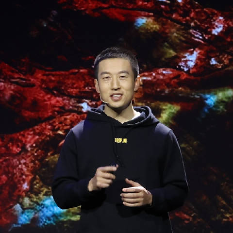 毒董地质