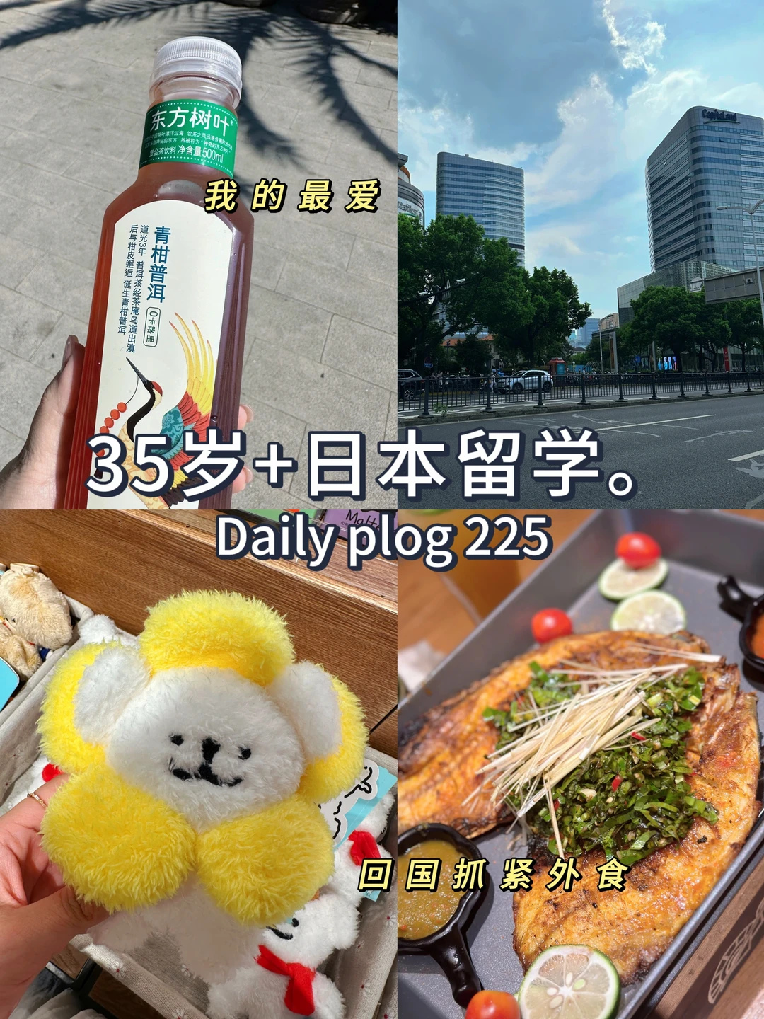 35岁+日本留学✈️上海🔁东京两地生活差异
