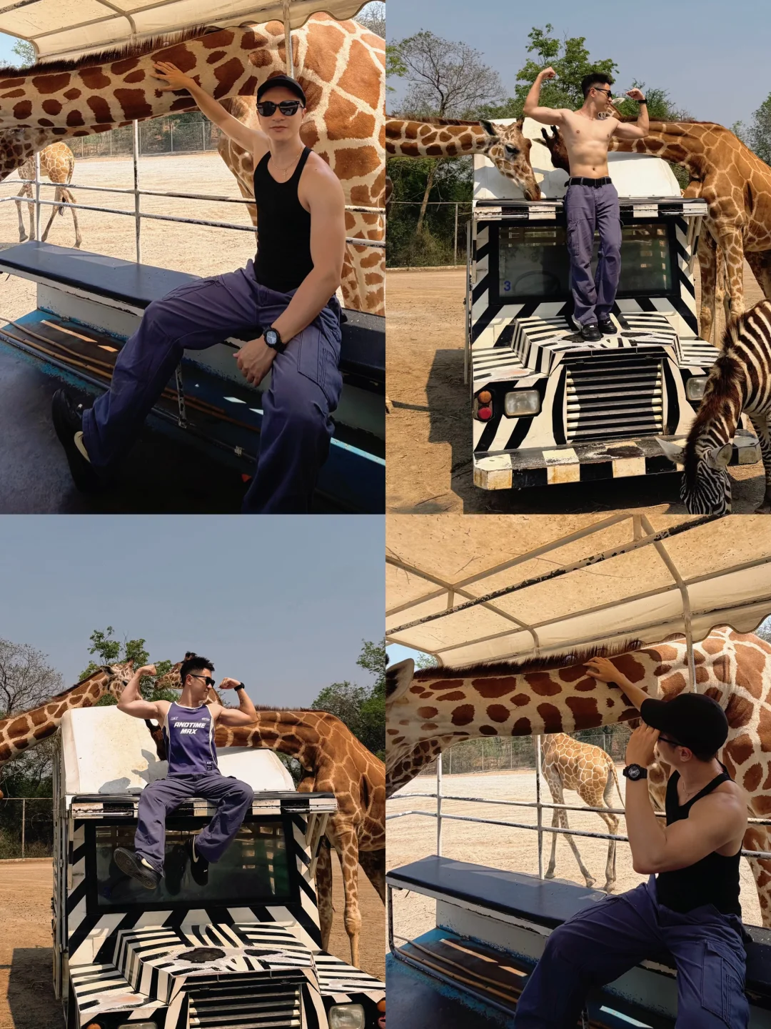 在曼谷跟长颈鹿🦒接吻了