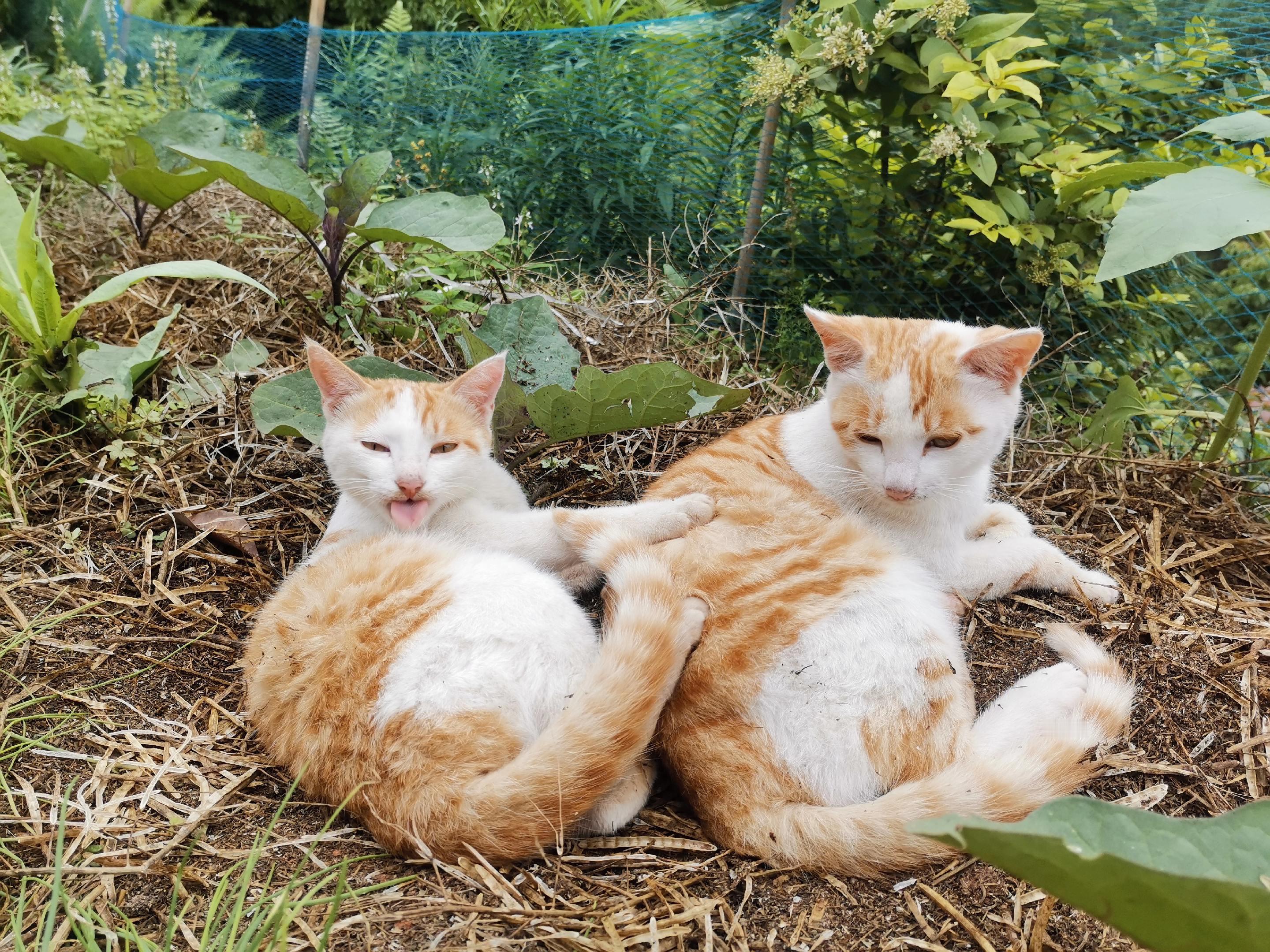 怎样才算真正的亲密关系呢