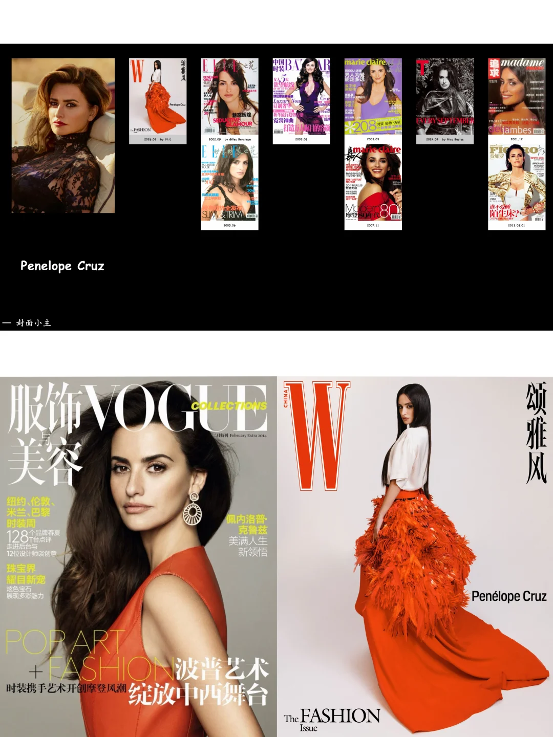 Penelope Cruz ｜ 内地女刊刊数合集