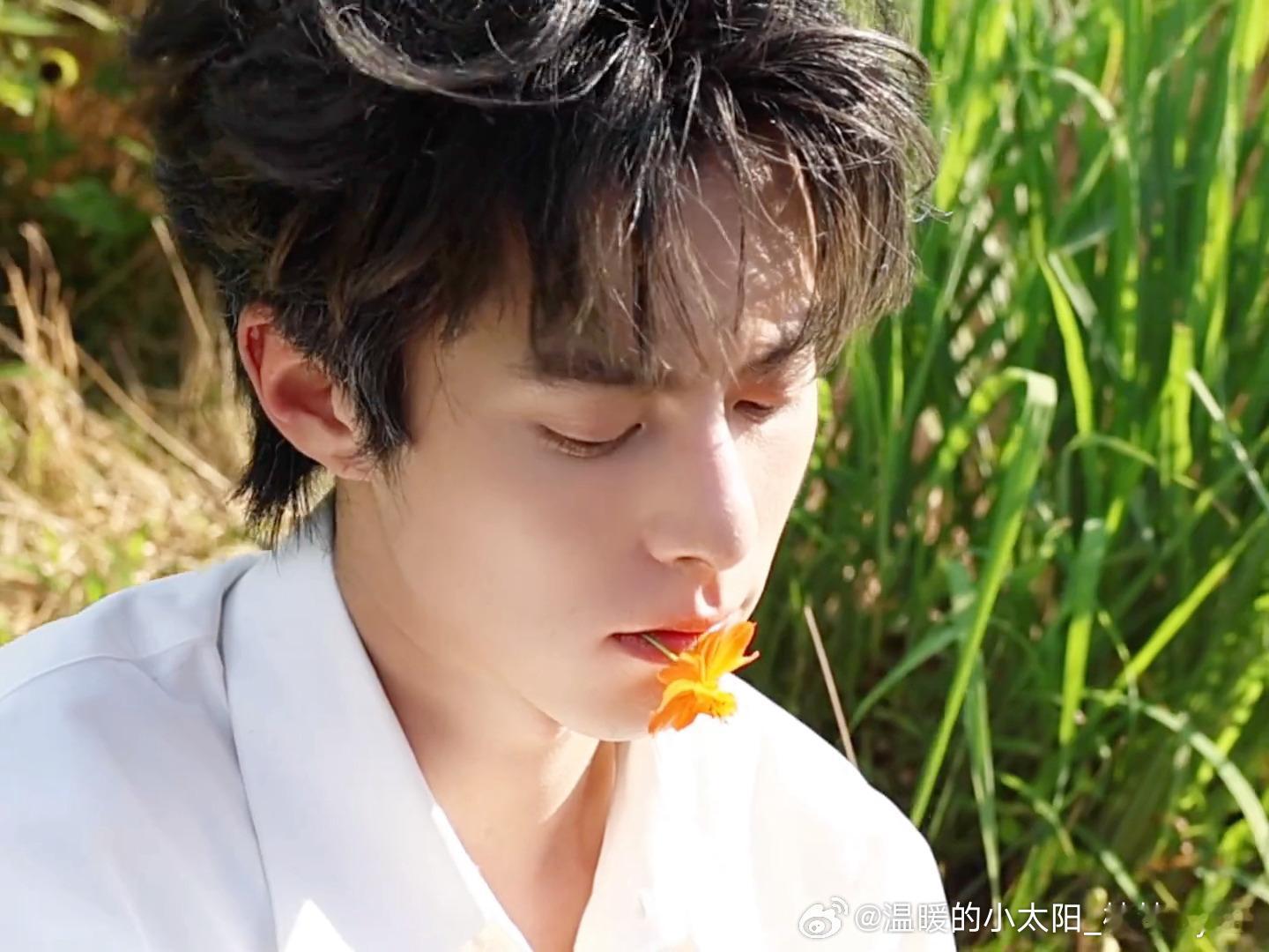 #王鹤棣[超话]#  于漫山繁花之中，遇见属于盛夏的少年

 借一缕夏日晚风，收藏这份温柔心动

花开遍野，少年​