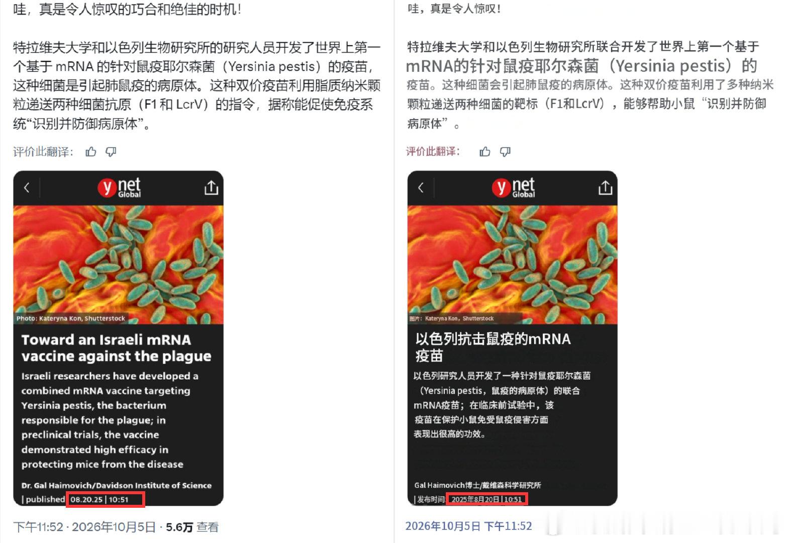 确实很厉害：油泰总是能“未卜先知”、“未雨绸缪”，正当世人刚关注大鹅怡情动态的时候，他们早在一年前就已经研发出了第一款相关的喵喵，并准备再次“为世人好”了！ ​​​​