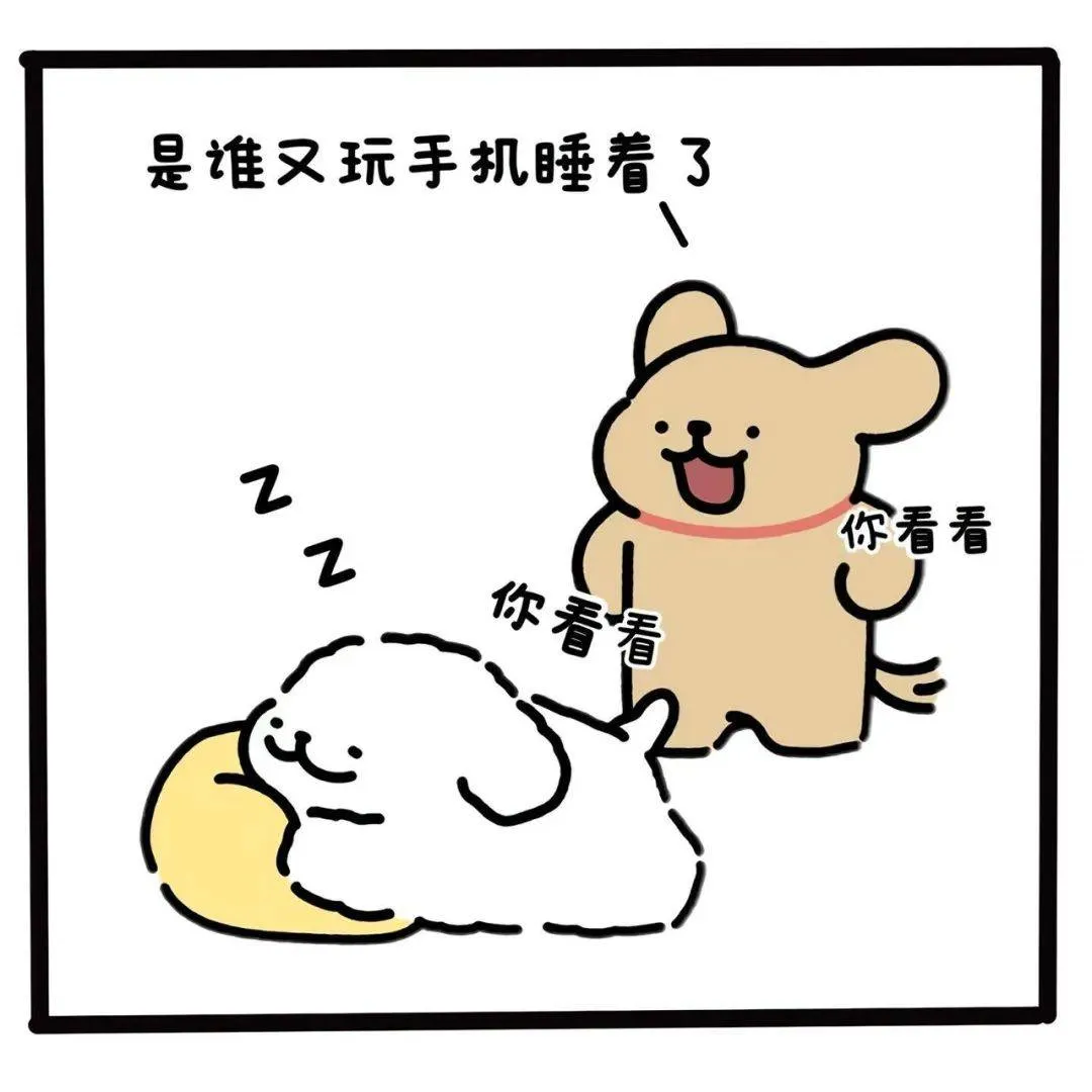 小猪盖被来咯～