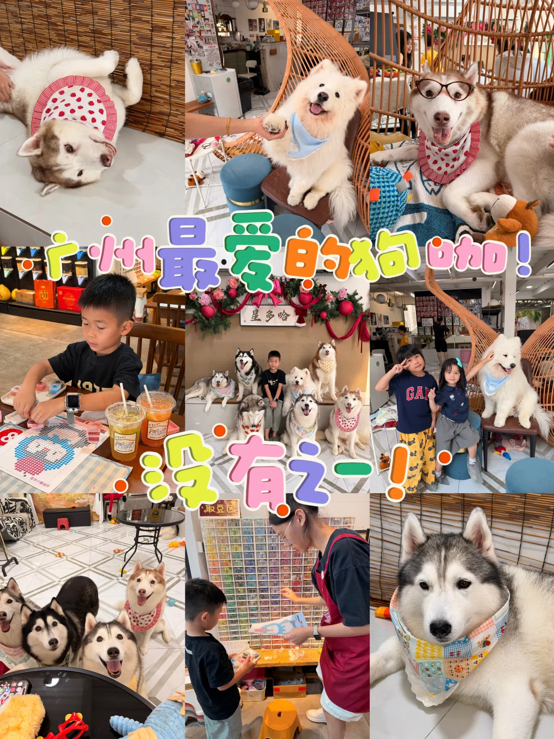 撸狗➕拼豆🐶番禺遛娃好去处