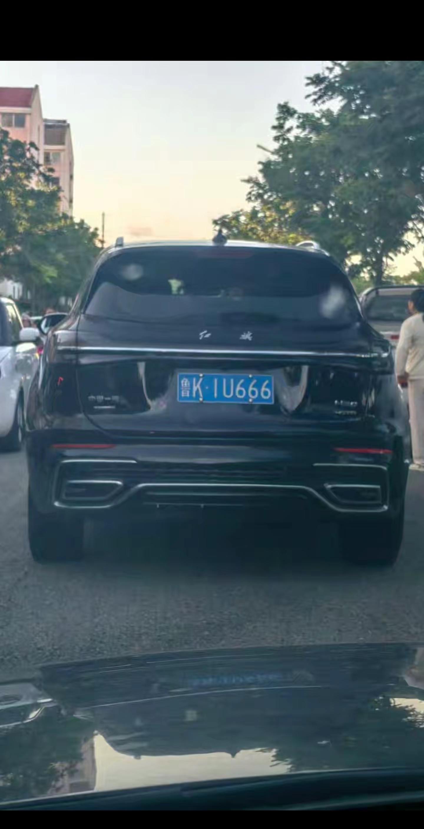 德系车的压迫感 全dou是靓车 好车配好牌 车牌号绝了 红旗汽车suv