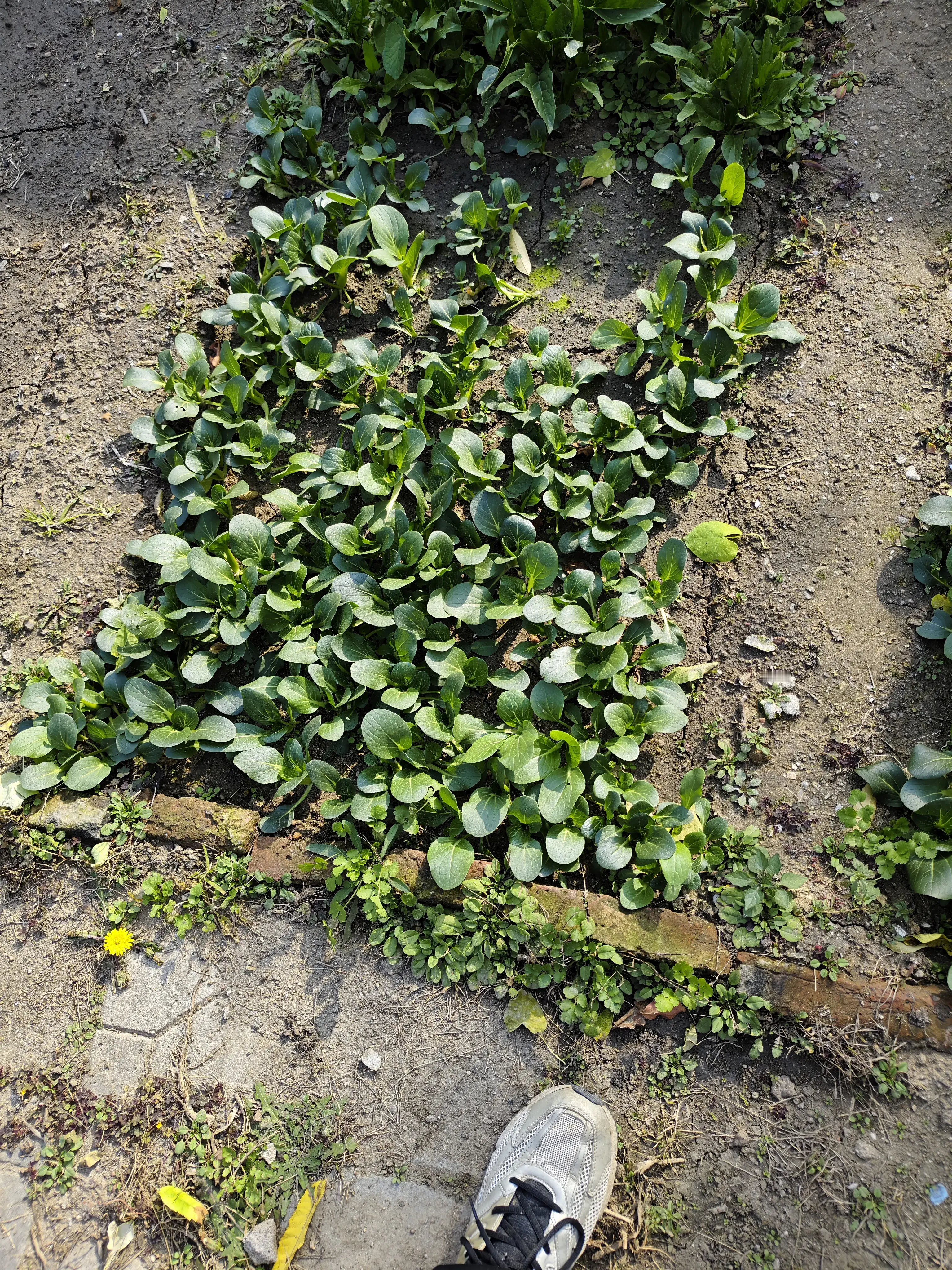 从什么时候开始出来一个所谓的男闺蜜？！可笑至极！可悲至极！真是时代变了...