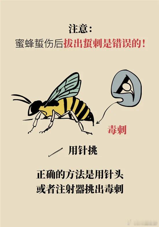 🐝#母亲赶到家时两兄妹已被胡蜂蜇亡# 

胡蜂，也叫马蜂、黄蜂、草蜂等。

它体大身长，毒性也大，且具有极强的攻击性！

我们被蜜蜂蜇时，一般只会被蜇一次，而马蜂由于毒刺结构特别，刺入皮肤释放毒素后又轻易拔出，可以反复蜇很多次......

被马蜂蜇伤的高峰期，一般出现在 7~11 月，因为这个时节 ​