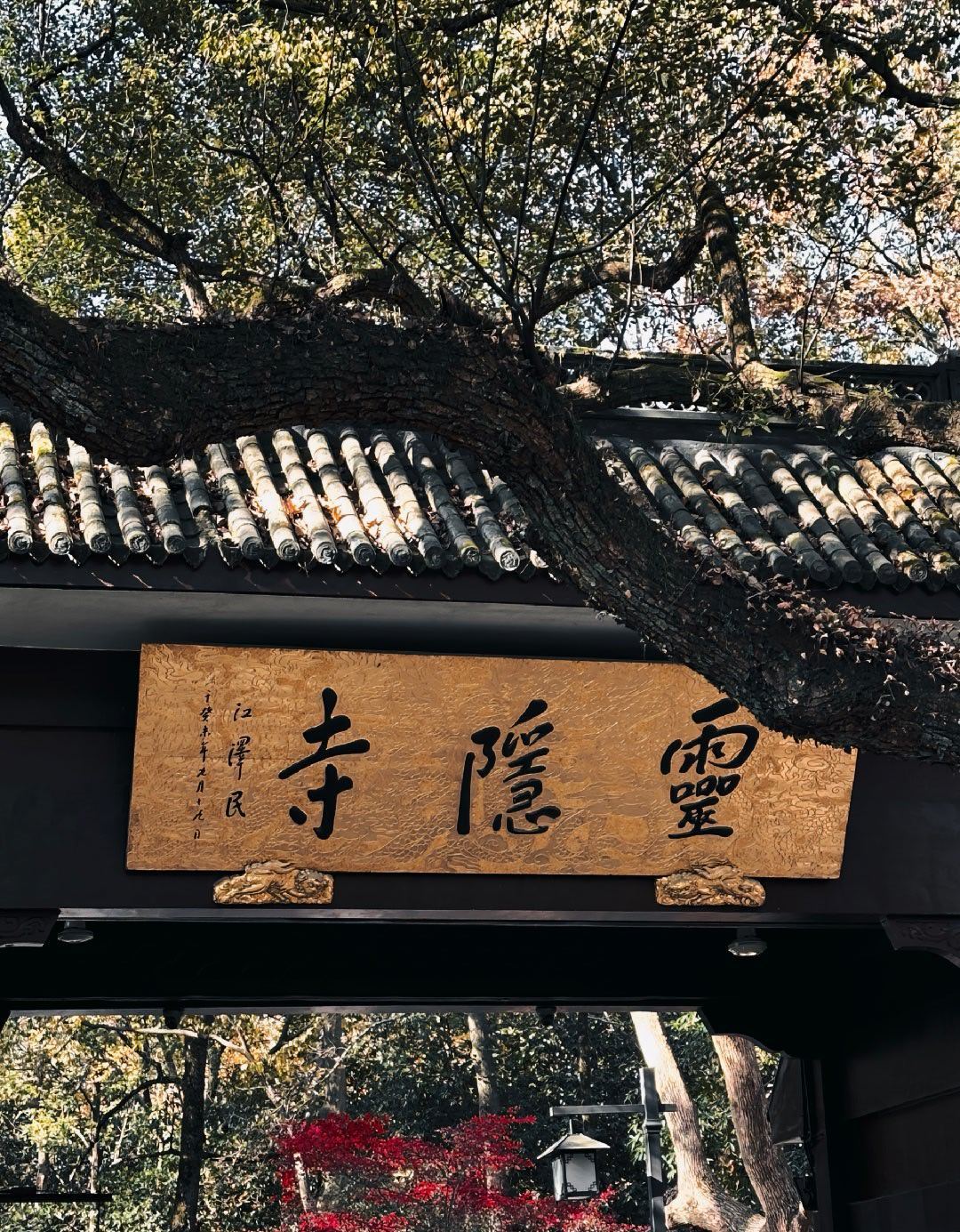所求皆所愿，所愿皆所得 ​​​
