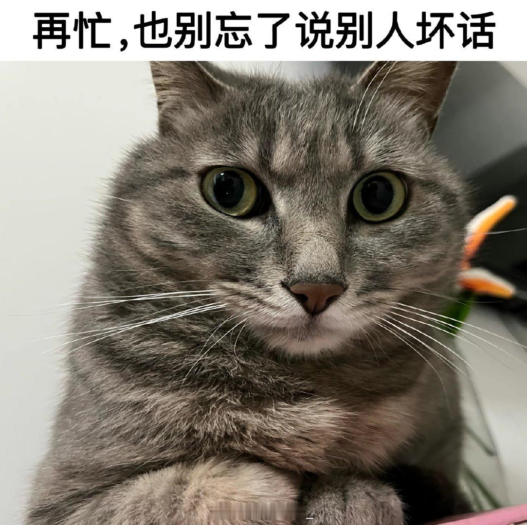 好想要vivo X500pro max啊
[开摆][开摆][开摆][开摆] ​
