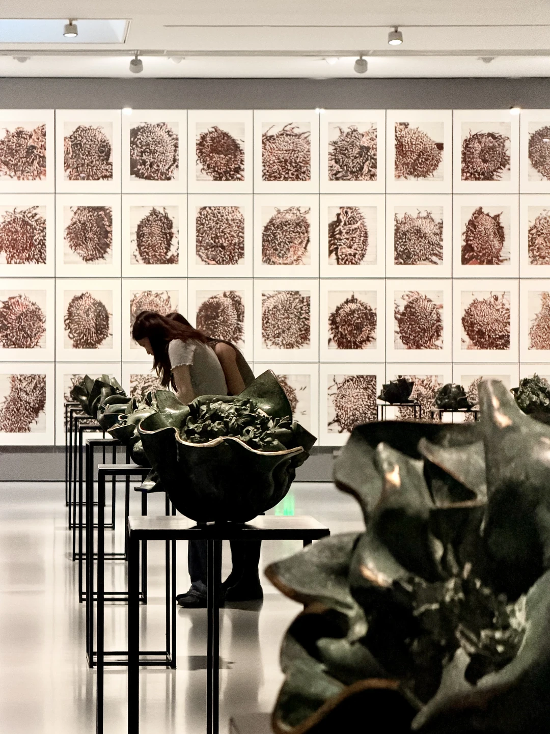 广州白鹅潭新展「葵山」✨一点不输莫奈画展‼️