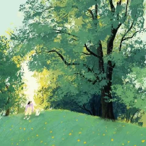 木子芳菲的年代在路上