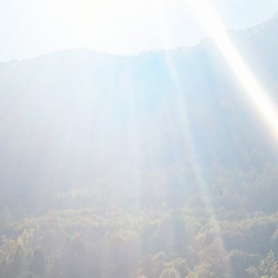 苹果种植方法

一、科学田间的管理：
每隔两年进行一次深耕，松动土壤，破除板结，增强透气性；每年进行一次中耕，适当掺和绿肥下翻；及时清除病枝残枝，最好进行烧毁，减少病菌传播。
二、改良苹果品种结构:
引进烟富、皇家嗄拉、莎莎等品种进行推广，逐渐取代老、杂、劣品种。长富、秋富也要以优系富 ​