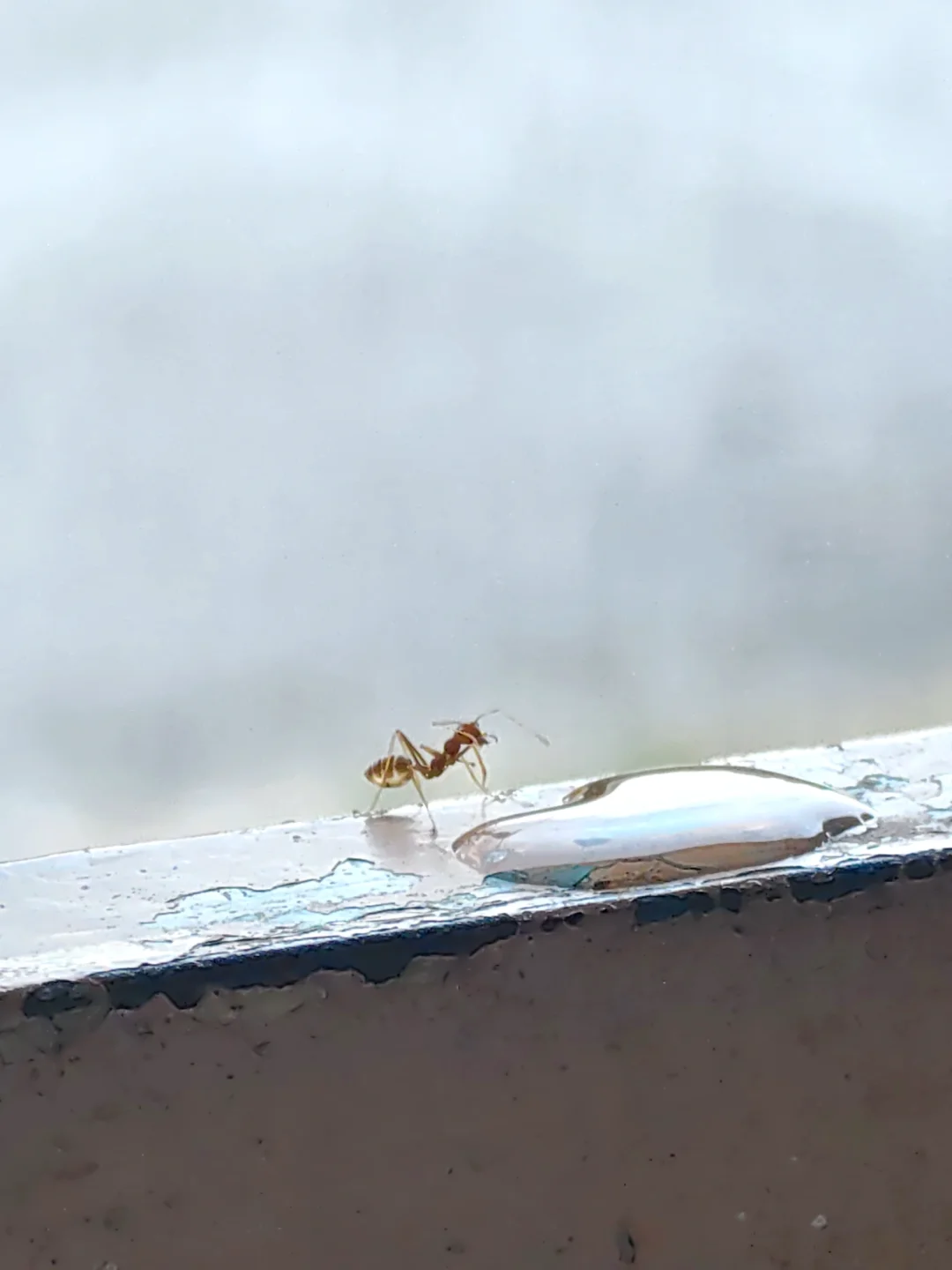 如果你在，我相信你也会喊我们来看