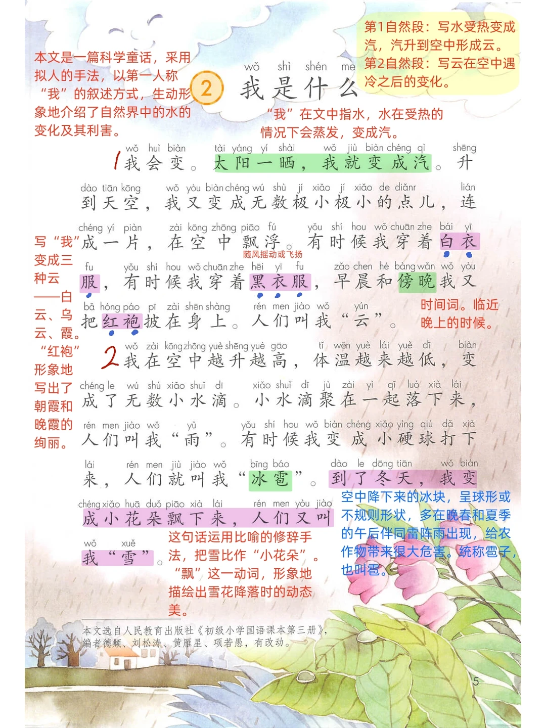 【二年级上册】第❷课《我是什么》
