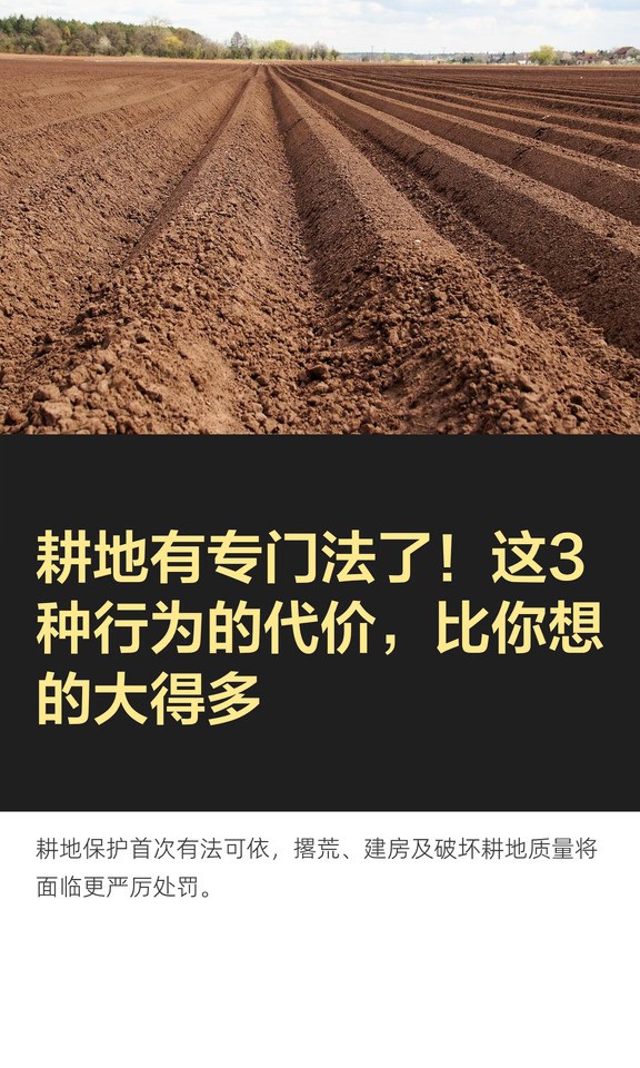 耕地有专门法了！这3种行为的代价，比你想