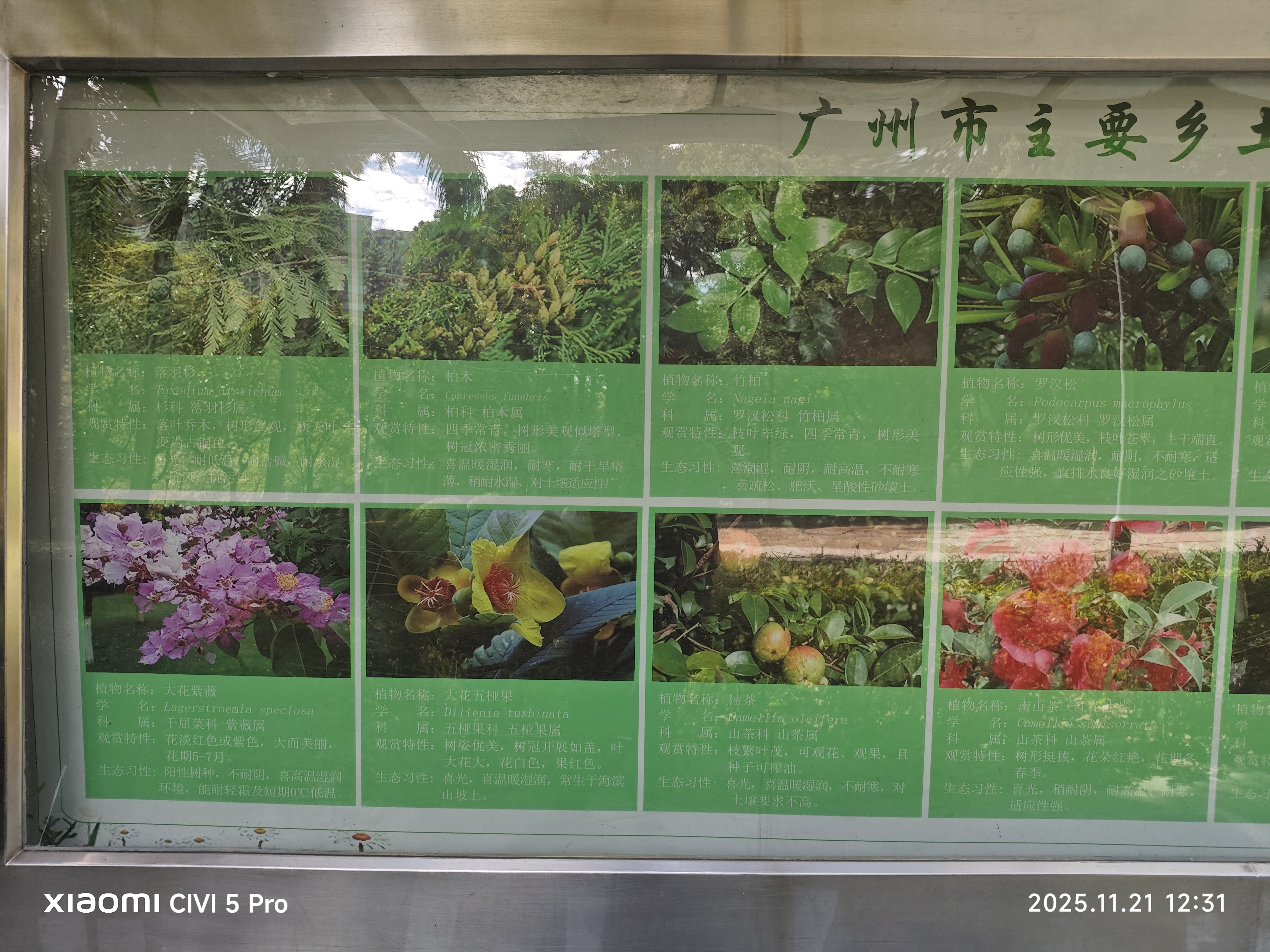 天河公园的科普，记录一下～