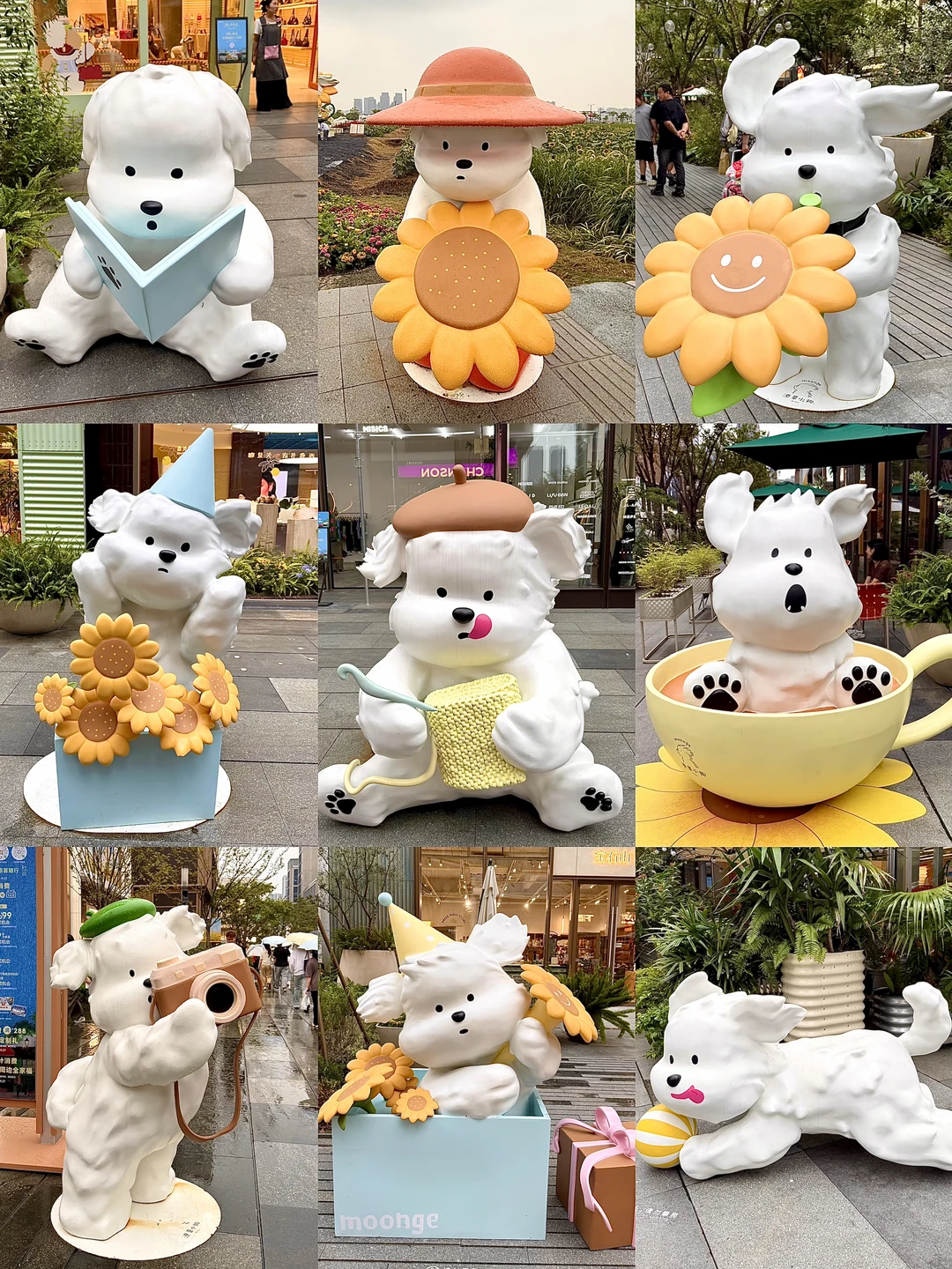 杭州国庆甜品集市！潦草小狗好可爱啊！💕😭