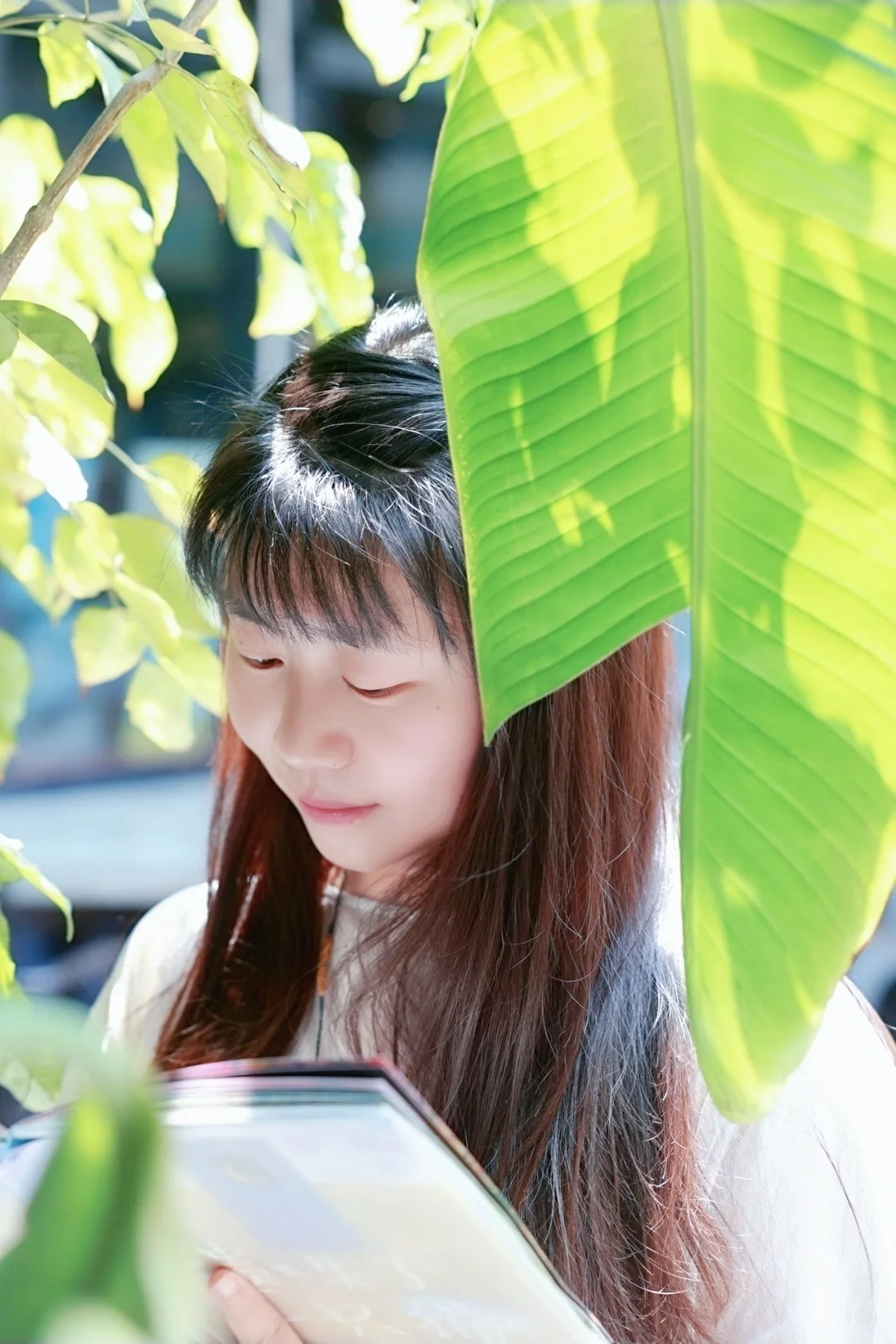 yi情当下，也不想辜负了春日午后阳光