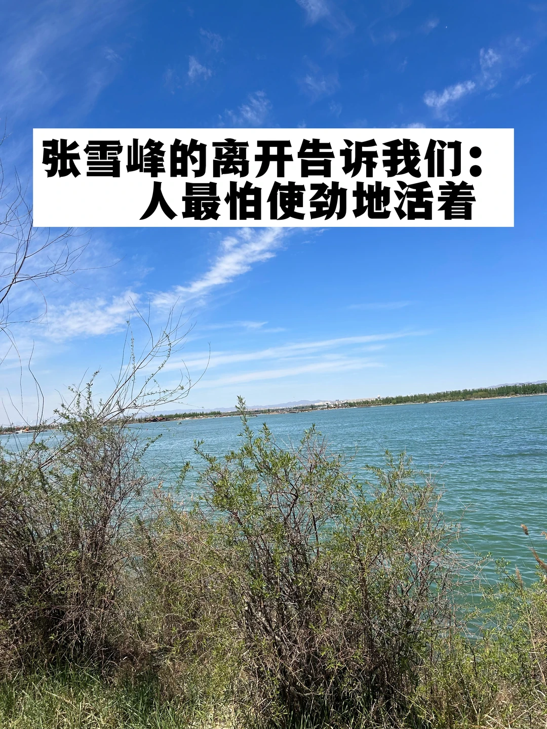 张雪峰老师的离开告诉我们：人最怕用力地活